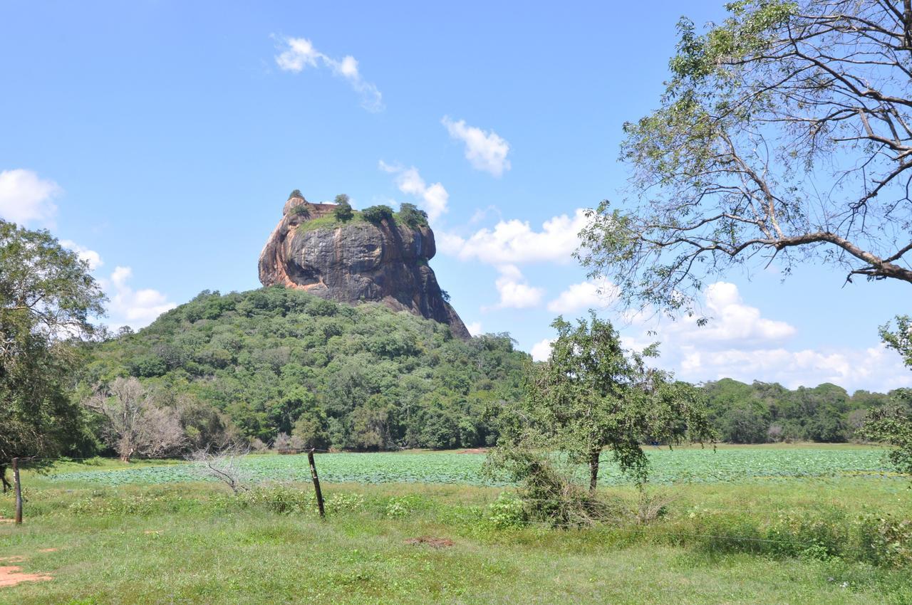 Lathika Homes Sigiriya Buitenkant foto